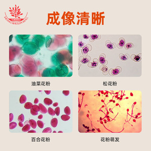 Kit de préparations microscopiques de pollen végétal : préparations microscopiques fraîchement obtenues et clairement structurées pour la recherche scientifique et l'enseignement supérieur - Product Image 4