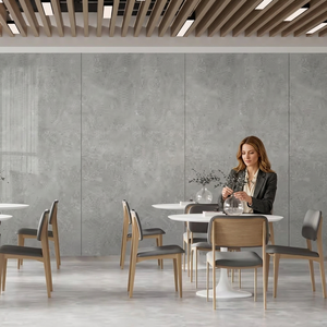 Herican Grey Body Sintered Stone Porcelain Slabs 1600x3200mm <b>Matt</b> & Glossy For Wall And <b>Flooring</b> - Product Image 3