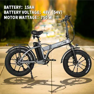 750w haute puissance E-Bike entrepôt européen 15ah 48v 45 km/h vélo électrique longue portée en alliage d'aluminium