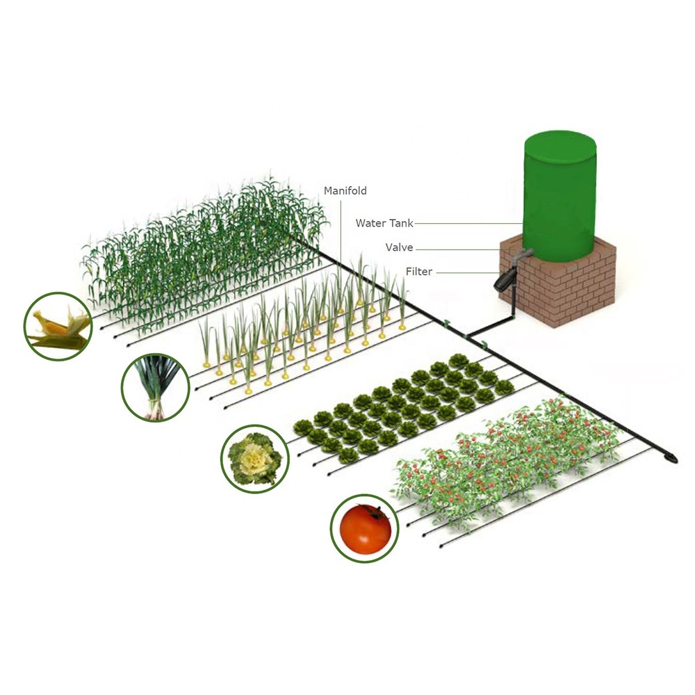 Amazing Overground 500SQM Farm Automatic Plant Growing Agricultural Drip Irrigation System for Sale
