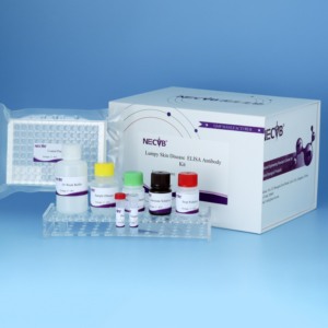 울퉁불퉁 한 피부병 ELISA 키트 | 96T 소 LSDV 항체 검사 | 소에 대한 수의학 진단 키트 - Product Image 2