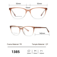 Montures optiques œil de chat en gros, lunettes TR tendance pour femmes et hommes, montures de lunettes de mode en vrac