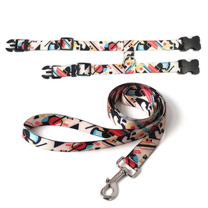 Harnais pour chat I Beam avec laisse réfléchissante, petite taille, pour utilisation en intérieur et en extérieur - Product Image 4