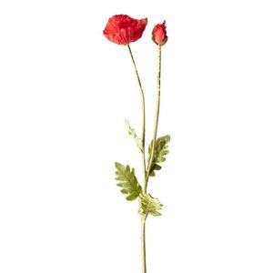 Flor de Amapola Artificial de Seda de 30cm-100cm con Tallo Único para Decoración del Hogar y Accesorios de Fotografía - Product Image 5