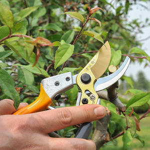 Tijeras de podar Old Friend de 73 mm, diseño de mariposa de acero inoxidable para ramas gruesas, diámetro de corte de 20-30 mm - Product Image 1