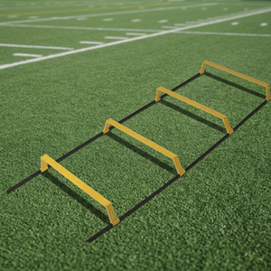 Elevated <b>Ladder</b> - Product Image 4