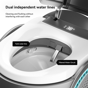 2025 nuevo diseño forma <span class=keywords><strong>de</strong></span> huevo personalizar colores música Control <span class=keywords><strong>de</strong></span> sonido automático inteligente cerámica integrado inodoro inteligente - Product Image 4