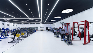 2024 haut de gamme Gym Shandong ROSEN Fitness équipement de Sport Machine <span class=keywords><strong>musculation</strong></span> banc <span class=keywords><strong>poids</strong></span> stockage pour l'exercice - Product Image 2