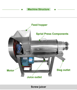 Venta directa de fábrica manzana pera zanahoria jengibre vegetal fruta fría exprimidor en espiral exprimidor - Product Image 4