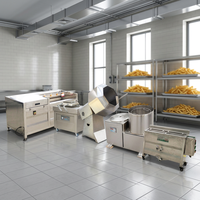 Semi-automatische productielijn voor diepvriesfrieten, aardappelchips, cassavechips en het maken van groente- en fruitfrietjes.