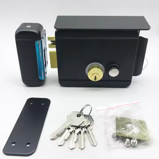 DC12V Keyless Access Entry Security System Electronic Lock Anti-theft Electric Rim Metal Door Main Gate Lock