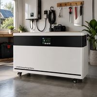 Batería de Litio de 51.2V 600Ah 30kWh, Sistema de Almacenamiento de Energía Doméstico Tipo Split, Batería Byd Lifepo4 para Emergencias en el Hogar
