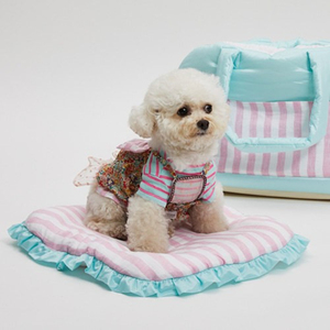 Sıcak satış havayolu onaylı evcil hayvan taşıyıcı s yumuşak taraflı katlanabilir seyahat köpek taşıyıcı evcil hayvan taşıyıcı küçük evcil hayvanlar için - Product Image 3