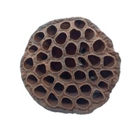 Accessoires de photographie d'inspiration zen, ornements décoratifs avec petites grappes de lotus, graines, fleurs séchées, fruits, artistiques et naturels