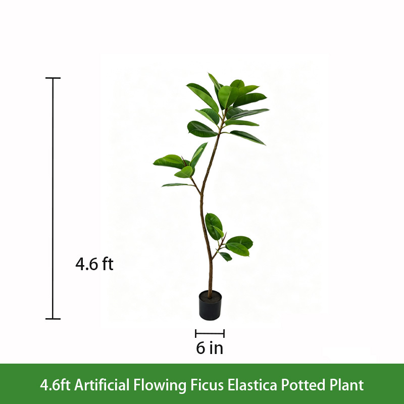 4.6ft