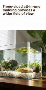 Visfabriek Groothandel <span class=keywords><strong>Aquarium</strong></span> Ultrahelder Glas Vierkant <span class=keywords><strong>Aquarium</strong></span> 4,5L Gemakkelijk Reinigbaar Bureau Keuken Accessoires Extra Wit - Product Image 5
