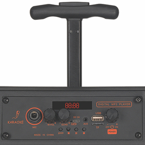 Altavoz Portátil Multifuncional Recargable Económico de 8 Pulgadas con Subwoofer RGB de 100W - Product Image 3
