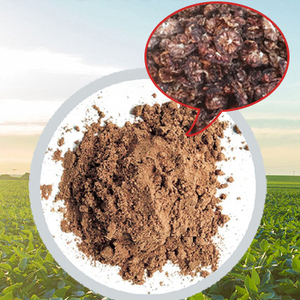 Polvere di Noni di Hainan di Alta Qualità, Polvere di Morinda Citrifolia per Alimenti <span class=keywords><strong>e</strong></span> Bevande, Polvere di Noni - Product Image 3