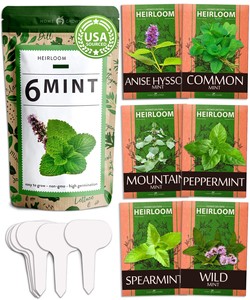 Menthe de haute qualité et sans OGM Cultivez vos propres plantes de menthe <span class=keywords><strong>en</strong></span> direct Grand cadeau pour les jardins, les chefs et les amateurs de thé - Product Image 2