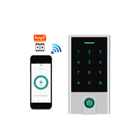 Contrôle d'accès intelligent pour porte avec lecteur d'empreintes digitales biométrique, carte RFID, sortie Wiegand, étanche IP66, autonome, un relais, avec application Tuya