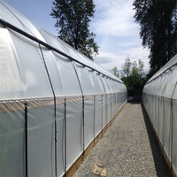 Serre tunnel polyvalente à double couche en PE, automatisée, à occultation totale, pour la culture de plantes médicinales GMP, petite exploitation commerciale