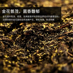 Ladrillos de Té Negro Fermentado Naturalmente Jingwei <span class=keywords><strong>Fucha</strong></span>, 357g/ladrillo, Provincia de Shanxi, Qizi Cha - Product Image 4