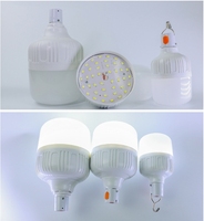 Ampoule LED Intelligente Rechargeable 5V de Haute Qualité 15W à 50W pour Camping en Extérieur et Alimentation d'Urgence DC pour Marché Nocturne