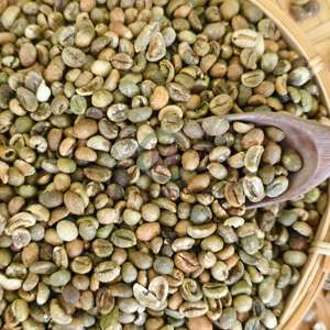 Granos Café Vietnam Robusta Green A Plus 95 a 99% Pureza 60kg Yute PP Bolsas a granel Ingrediente no adicional - Product Image 3