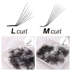 Extensions <span class=keywords><strong>de</strong></span> <span class=keywords><strong>cils</strong></span> en éventail préfabriqués L M 6D 10D, 500 <span class=keywords><strong>cils</strong></span> faits à la main, <span class=keywords><strong>bouquet</strong></span> parfait, fibre PBT coréenne, volume russe - Product Image 4