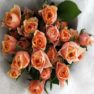 Rosas <span class=keywords><strong>de</strong></span> varias cabezas hechas a mano <span class=keywords><strong>de</strong></span> alta calidad para Navidad, boda, decoraciones <span class=keywords><strong>de</strong></span> Acción <span class=keywords><strong>de</strong></span> Gracias, suministro directo <span class=keywords><strong>de</strong></span> puestos, tienda <span class=keywords><strong>de</strong></span> flores, comunidad - Product Image 1