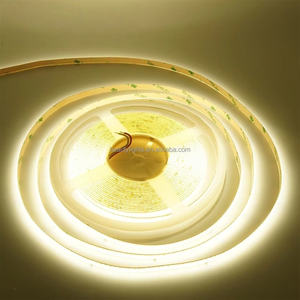 Tira de Luz LED SMD 2835 de 1000LM, CA 220V, 120LEDs/m, IP43 Impermeable, Alta Luminosidad, Flexible - Product Image 6