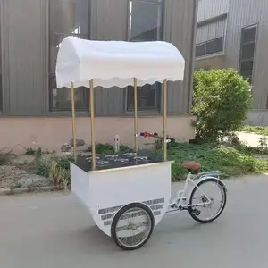 Sorvete elétrico móvel de carga bicicleta, com mini refrigerador, triciclo, congelador, para bebidas frias