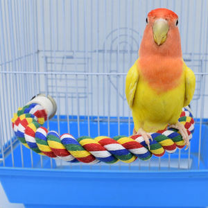 Qbellpet jual cepat warna-warni tali katun Perch burung dengan bel memanjat Bar burung Bungee mainan burung beo mengunyah mainan - Product Image 3