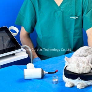 Équipement de thérapie laser de classe 4 pour soulager la douleur chez le chien, le cheval et le chat, utilisation médicale, 810 nm 980 nm pour les blessures aiguës - Product Image 3