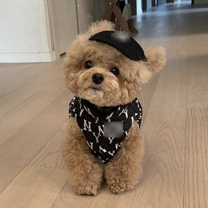Cappellino da Baseball <span class=keywords><strong>in</strong></span> Cotone per Animali Domestici, Stile Coreano, per Cani e Gatti, <span class=keywords><strong>Cappello</strong></span> Protettivo per Corgi, Teddy e Cuccioli - Product Image 3