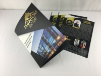 Personalizar tamaño a prueba de arañazos laminación en relieve Deboss ranura para tarjeta de visita Archivo de papel Carpeta de presentación de documentos con 2 bolsillos