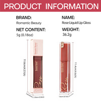 Gloss à lèvres effet miroir nacré hydratant non collant waterproof longue tenue maquillage cosmétique 6 couleurs vente en gros en vrac