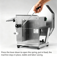225KG/H 1-10mm Commerciële Elektrische Groente- en Fruit Snijmachine van RVS voor Aardappelen, Uien en Wortelen