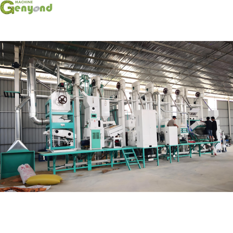 Genyond Quality Choice Professional Factory Rice