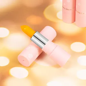 Colorina Beste Kwaliteit Vegan Halal Lipstick Oem Make-Up Cosmetica Bulk Groothandel Temperatuur Kleur Veranderende Kleur Lipstick