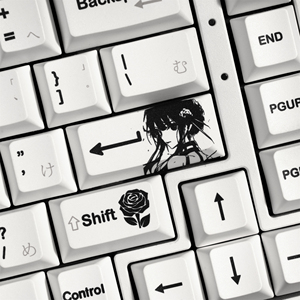 XVX Keycaps <span class=keywords><strong>SPY</strong></span> <span class=keywords><strong>FAMILY</strong></span> Cherry Profile Jeu de touches de clavier mécanique à 5 faces Dye-Sub PBT (134 touches) - Product Image 2