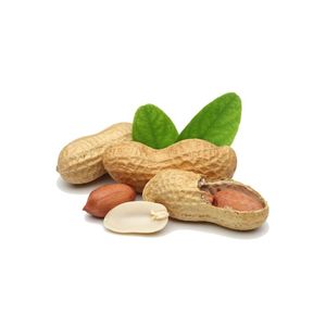 Cacahuetes crudos frescos con cáscara, nueces enteras marrones naturales con cáscaras abiertas sobre fondo de arpillera - Product Image 1