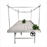 Table de culture hydroponique à flux et reflux sur roulettes pour serre, pour la culture agricole de plantes
