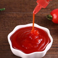 Pâte de tomate concentrée de haute qualité 29,7 % Brix en bouteille – Chine