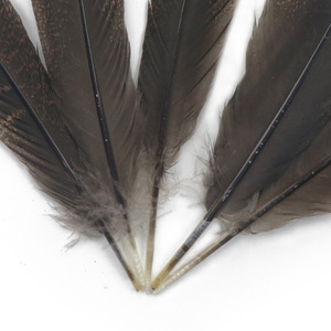 En stock, vente en gros, <span class=keywords><strong>plumes</strong></span> de queue de dinde naturelles de haute qualité pour costumes de carnaval, danse, artisanat d'Halloween - Product Image 5