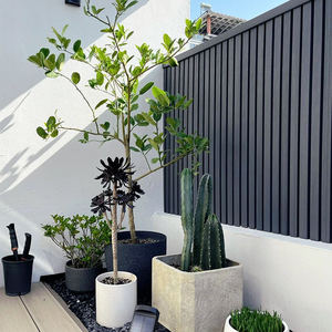 Pannello Murale WPC per Esterni Impermeabile Ignifugo Recinzione Co-estrusa in <span class=keywords><strong>Legno</strong></span> Plastica Copertura per Soffitto per Balcone e Giardino - Product Image 1