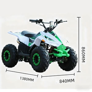 Kart <span class=keywords><strong>électrique</strong></span> tout-terrain 48V 500W 20AH pour plage, montagne et route, vitesse maximale de 60 km/h, capacité de charge de 200 kg - Product Image 6