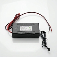 Invertisseur pour feuille EL 3000cm² DC12V avec modes Lumière constante/Flash/Arrêt, Boîtier de refroidissement en aluminium, Paramètres personnalisables selon les besoins