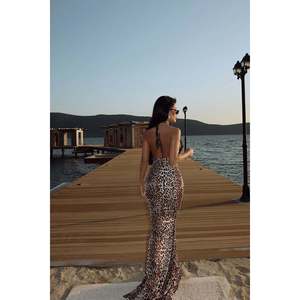 Robes de soirée, robe longue à imprimé léopard - Product Image 1