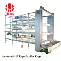 Cage à poulets de chair de type H, automatique, 4 niveaux, avec plancher à lattes en plastique, abreuvoir à tétine, courroie de fumier, OEM, haute densité